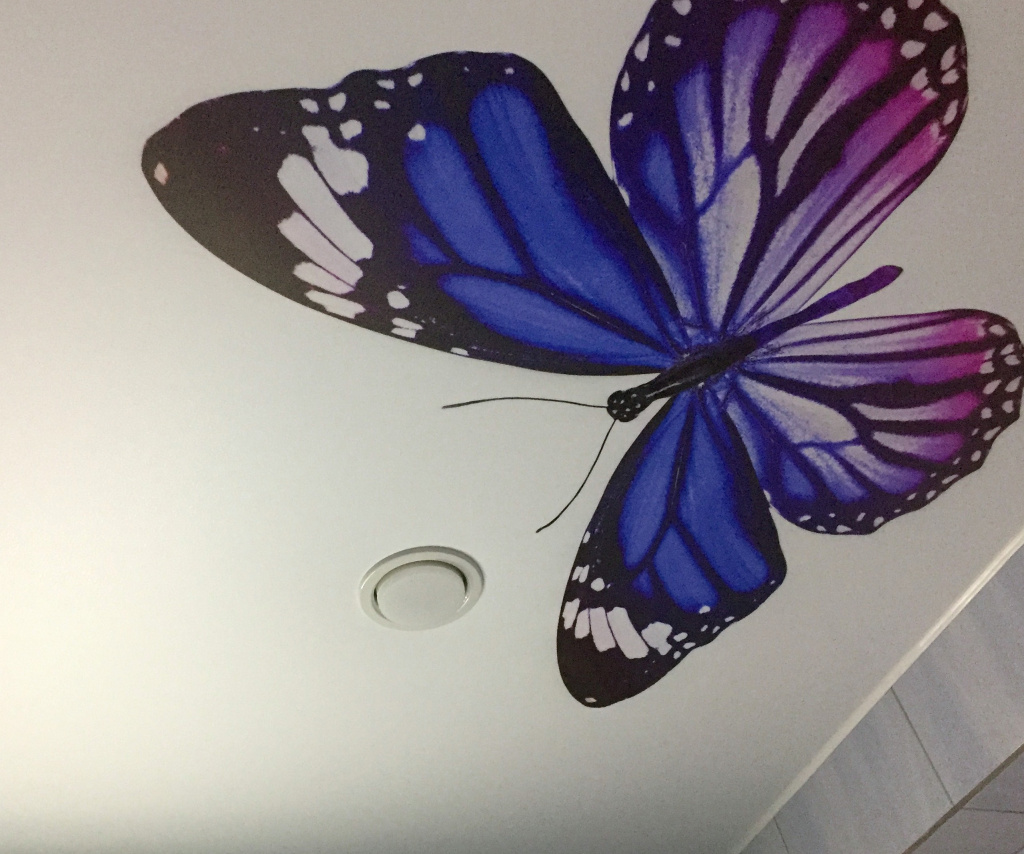 Натяжные потолки с изображением бабочки
