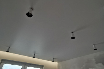 Внутренняя вклейка колец для светильников