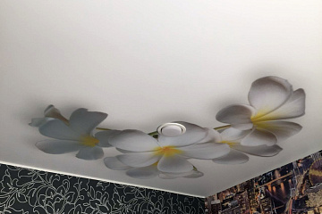 Дизайн натяжных потолков